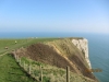 2014-03-09_1402 II 090_hardy